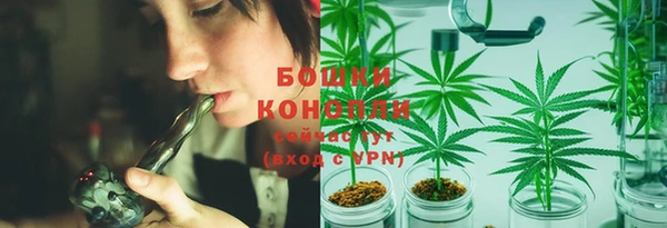 прущие крисы Козельск