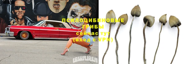 MDMA Козловка