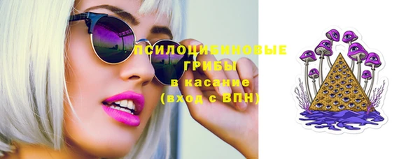 прущие крисы Козельск
