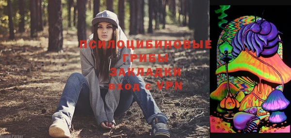 Альфа ПВП Кодинск