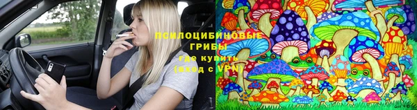 Альфа ПВП Кодинск