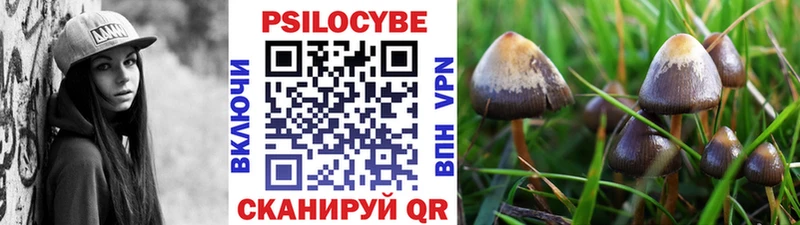 Купить закладки  Кирово-Чепецк  Псилоцибиновые грибы мицелий 